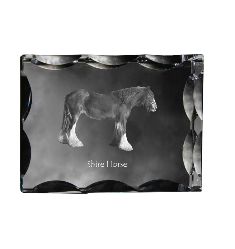 Cheval Shire - Kristall mit einem Pferdebild, Glasstatuette mit einem Bild, einzigartiger Bilderrahmen der Marke Art-Dog