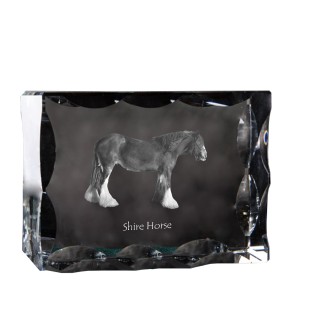 Shire-Pferd - crystal with a picture of a horse, glass statuette with a picture, unique frame with a picture from Art-Dog brand