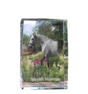 Spanischer Normanne - Kristall mit einem Pferdebild, Bild im Glas, moderne Ausstellung des Art-Dog-Bildes.