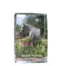 Spanish Norman - crystal with a picture of a horse, photo in glass, modern exhibition of Art-Dog brand photo