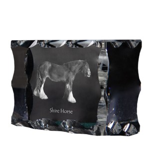 Shire-Pferd - crystal with a picture of a horse, glass statuette with a picture, unique frame with a picture from Art-Dog brand