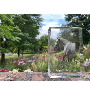 Spanish Norman - crystal with a picture of a horse, photo in glass, modern exhibition of Art-Dog brand photo