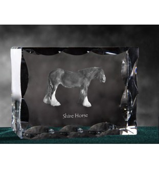 Shire-Pferd - crystal with a picture of a horse, glass statuette with a picture, unique frame with a picture from Art-Dog brand