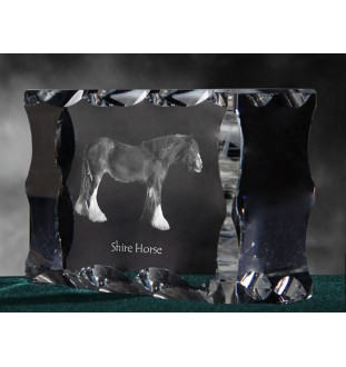 Shire-Pferd - crystal with a picture of a horse, glass statuette with a picture, unique frame with a picture from Art-Dog brand