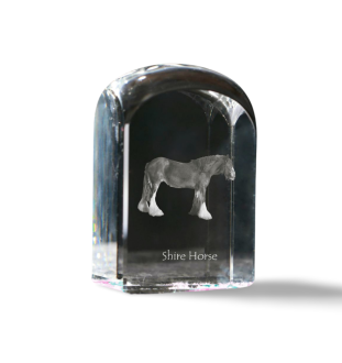 Shire Horse - crystal cube with a photo, photo of a horse in crystal, cubic paperweight from Art-Dog brand