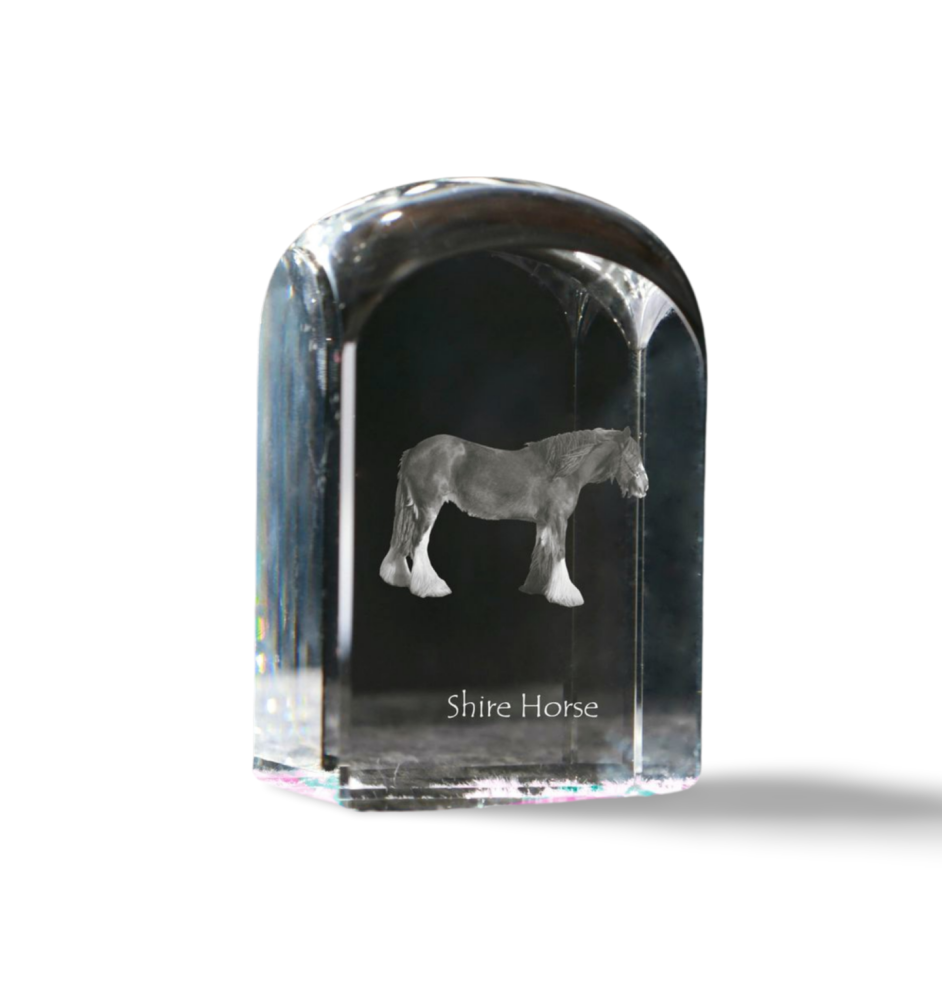 Shire-Pferd - Kristallwürfel mit Bild, Pferdebild im Kristall, sechseckiger Papierclip der Marke Art-Dog