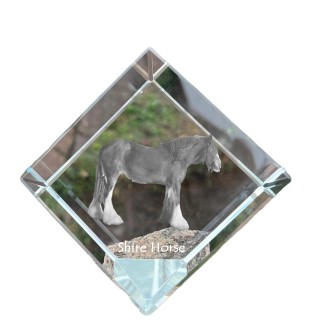 Cheval Shire - un cube de cristal avec une photo de cheval, une photo de cheval dans le cristal, un presse-papiers cubique de la marque Art-Dog