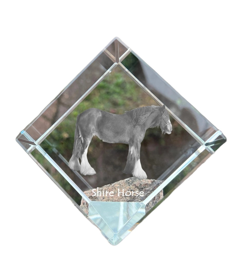 Shire-Pferd - Kristallwürfel mit Pferdebild, Pferdebild im Kristall, sechseckiger Papierclip der Marke Art-Dog