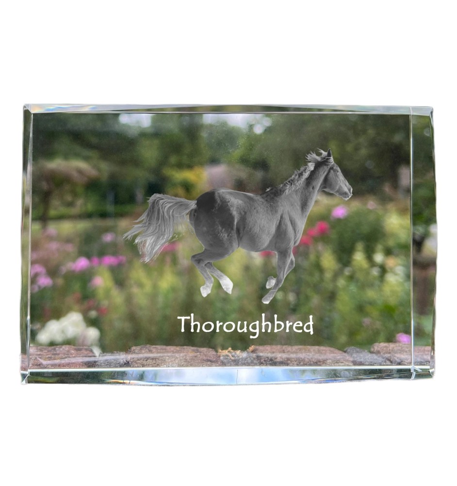 Pur-sang - cristal avec une photo de cheval, photo sous verre, exposition moderne de la marque de photos Art-Dog