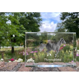 Vollblut - Kristall mit einem Pferdebild, Bild im Glas, moderne Ausstellung des Art-Dog-Bildes.