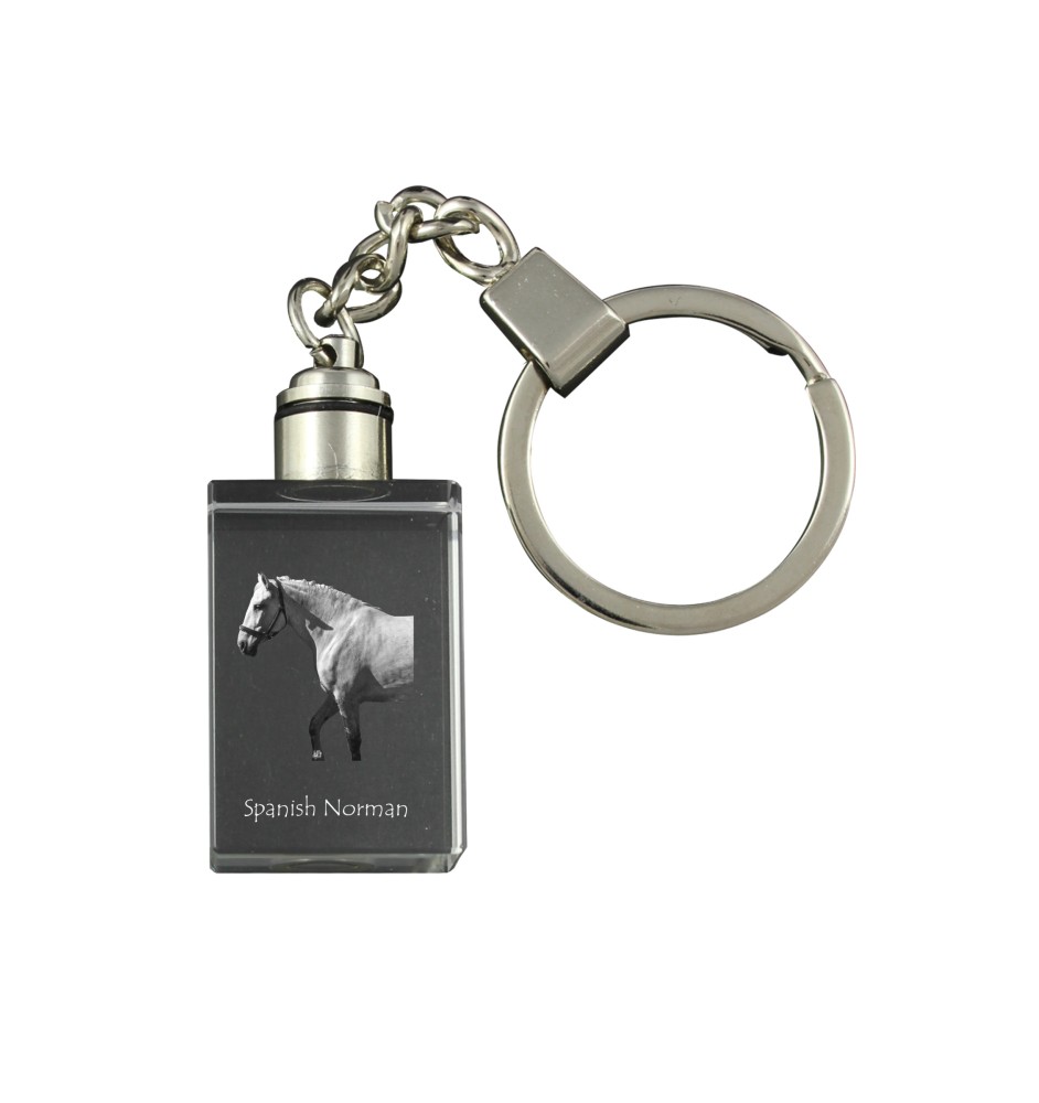 Spanischer Normanne - Kristall-Anhänger mit Foto eines Pferdes, beleuchteter Anhänger, einzigartiges Geschenk der Marke Art-Dog