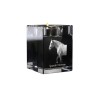 Spanish Norman - Candle holder with picture of a horse, crystal tealight holder, personalised gift by Art-Dog brand