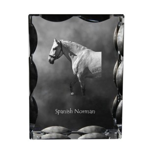 Spanischer Normanne - crystal with a picture of a horse, glass statuette with a picture, unique frame with a picture from Art-Dog brand