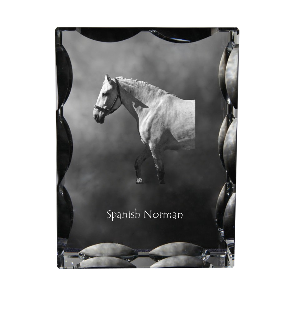 Spanischer Normanne - crystal with a picture of a horse, glass statuette with a picture, unique frame with a picture from Art-Dog brand