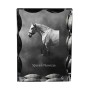 Spanischer Normanne - crystal with a picture of a horse, glass statuette with a picture, unique frame with a picture from Art-Dog brand
