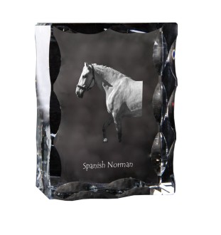 Spanischer Normanne - crystal with a picture of a horse, glass statuette with a picture, unique frame with a picture from Art-Dog brand