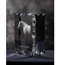 Spanischer Normanne - crystal with a picture of a horse, glass statuette with a picture, unique frame with a picture from Art-Dog brand