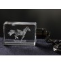 Thoroughbred - Crystal pendant with photo of a horse, illuminated pendant, unique gift by Art-Dog brand