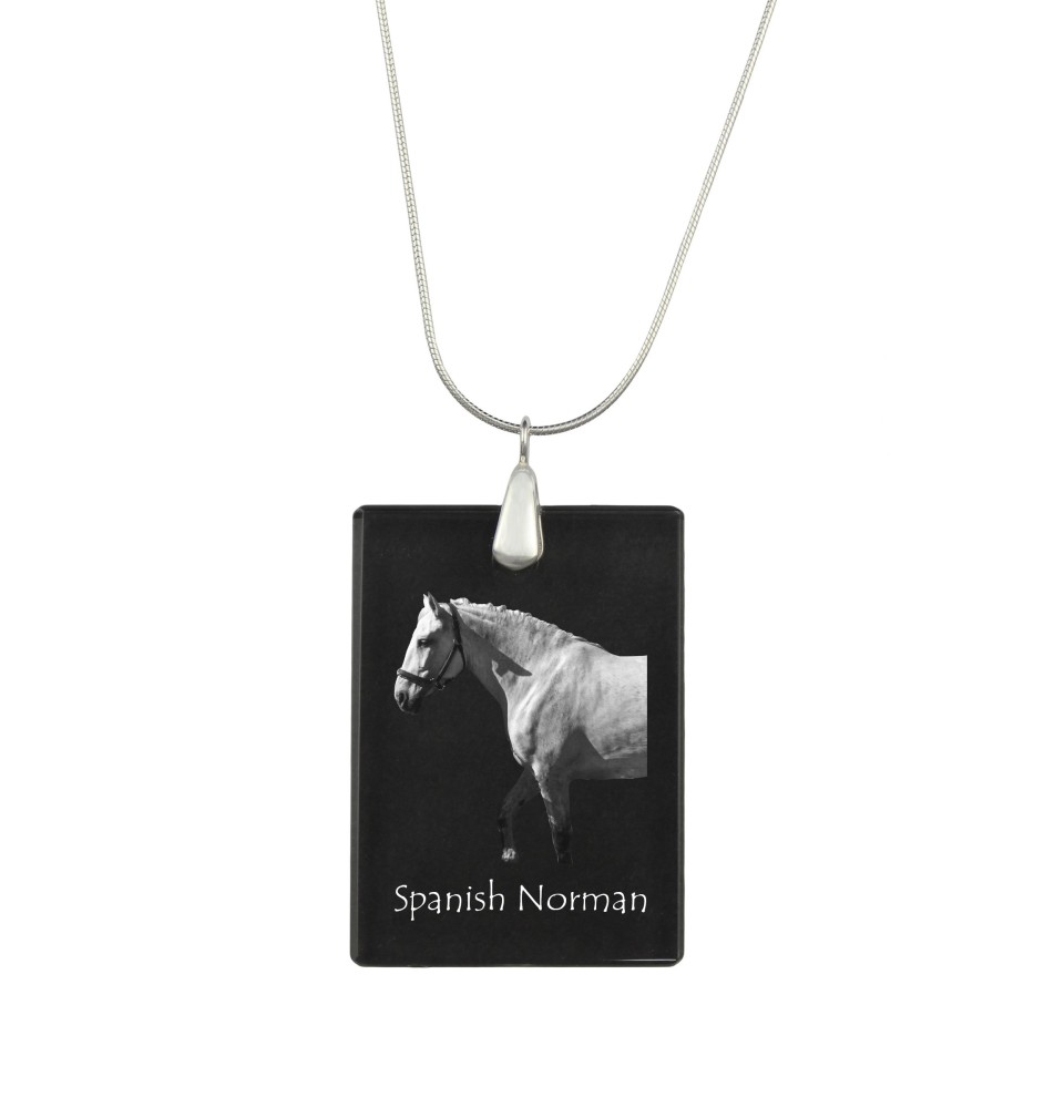 Spanischer Normanne - Crystal pendant with horse, silver necklace with photo, personalised pendant by Art-Dog brand