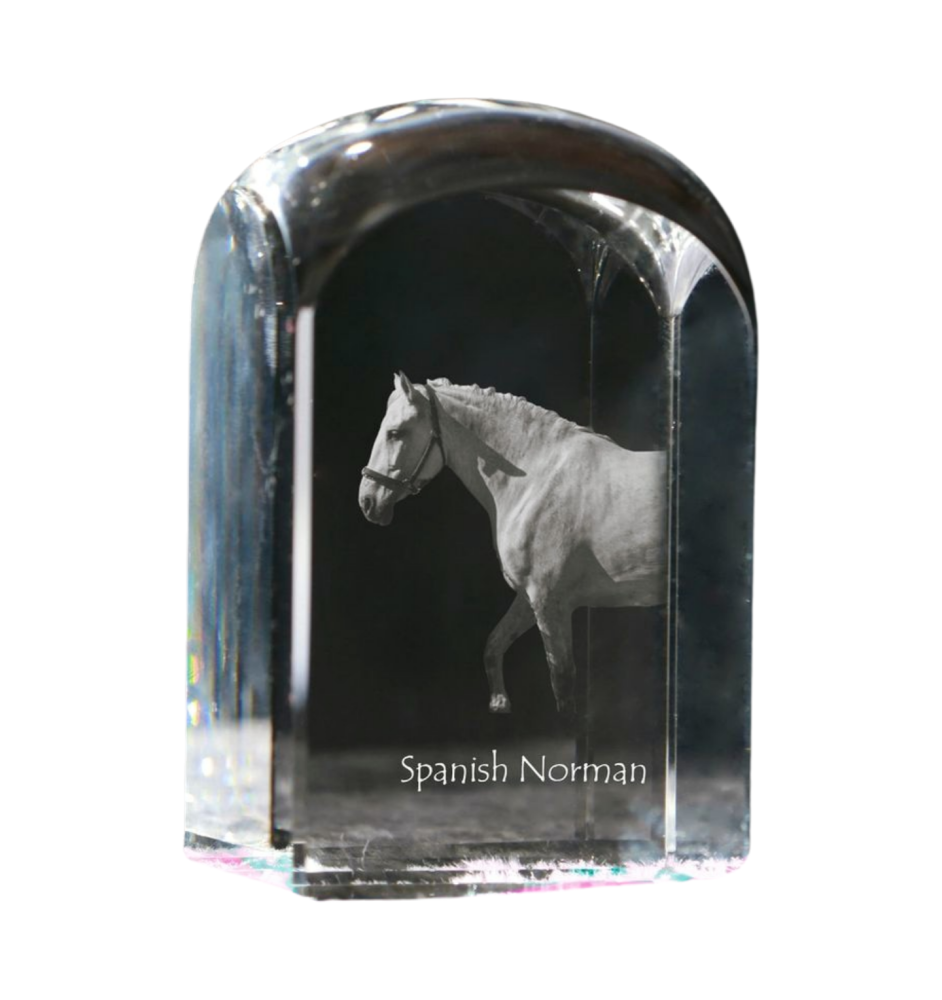 Spanischer Normanne - Kristallwürfel mit Bild, Pferdebild im Kristall, sechseckiger Papierclip der Marke Art-Dog