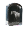 Spanish Norman - crystal cube with a photo, photo of a horse in crystal, cubic paperweight from Art-Dog brand