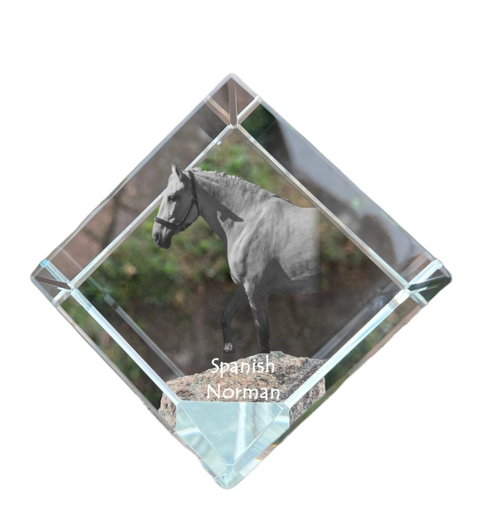 Spanish Norman - crystal cube with a horse picture, horse picture in crystal, cubic paperweight from Art-Dog brand