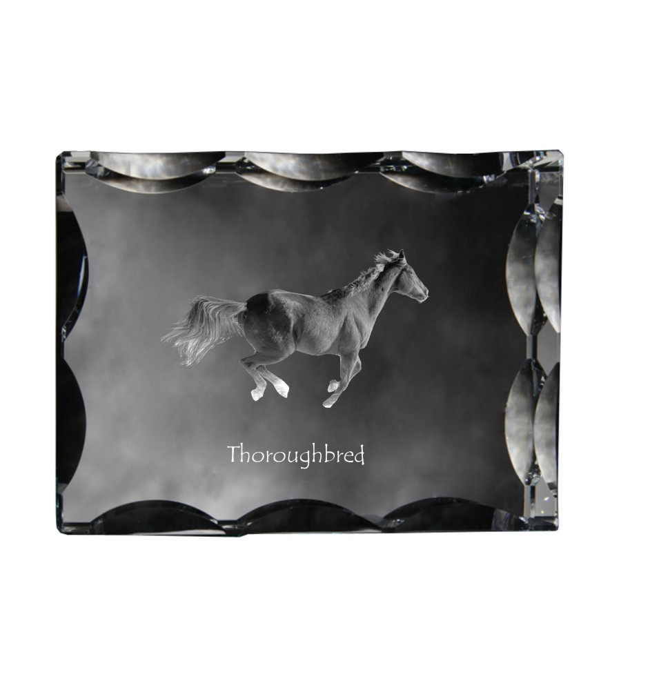 Vollblut - crystal with a picture of a horse, glass statuette with a picture, unique frame with a picture from Art-Dog brand