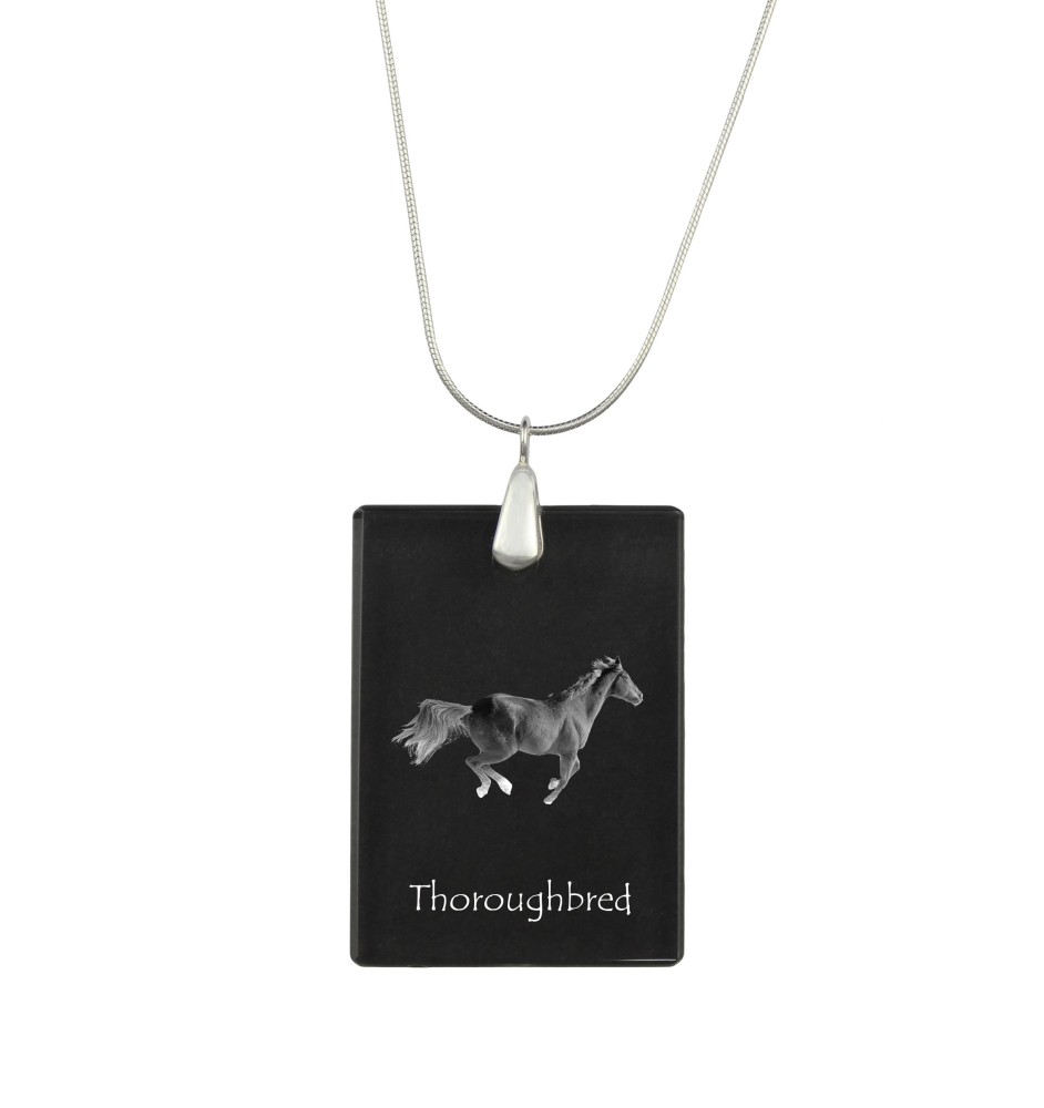 Thoroughbred - Crystal pendant with horse, silver necklace with photo, personalised pendant by Art-Dog brand