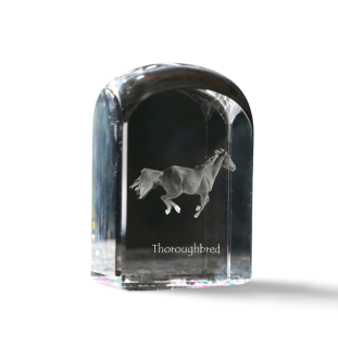 Thoroughbred - crystal cube with a photo, photo of a horse in crystal, cubic paperweight from Art-Dog brand