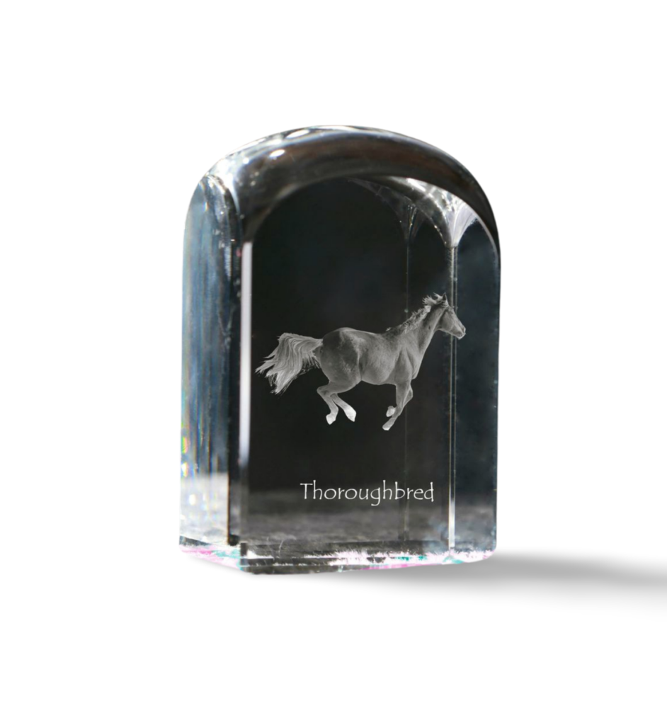 Thoroughbred - crystal cube with a photo, photo of a horse in crystal, cubic paperweight from Art-Dog brand