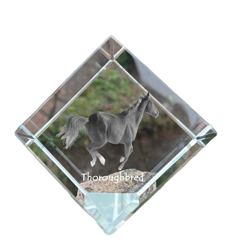Thoroughbred - crystal cube with a horse picture, horse picture in crystal, cubic paperweight from Art-Dog brand