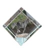 Thoroughbred - crystal cube with a horse picture, horse picture in crystal, cubic paperweight from Art-Dog brand