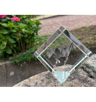 Vollblut - Kristallwürfel mit Pferdebild, Pferdebild im Kristall, sechseckiger Papierclip der Marke Art-Dog