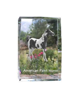 American Paint Horse - Kristall mit einem Pferdebild, Bild im Glas, moderne Ausstellung des Art-Dog-Bildes.