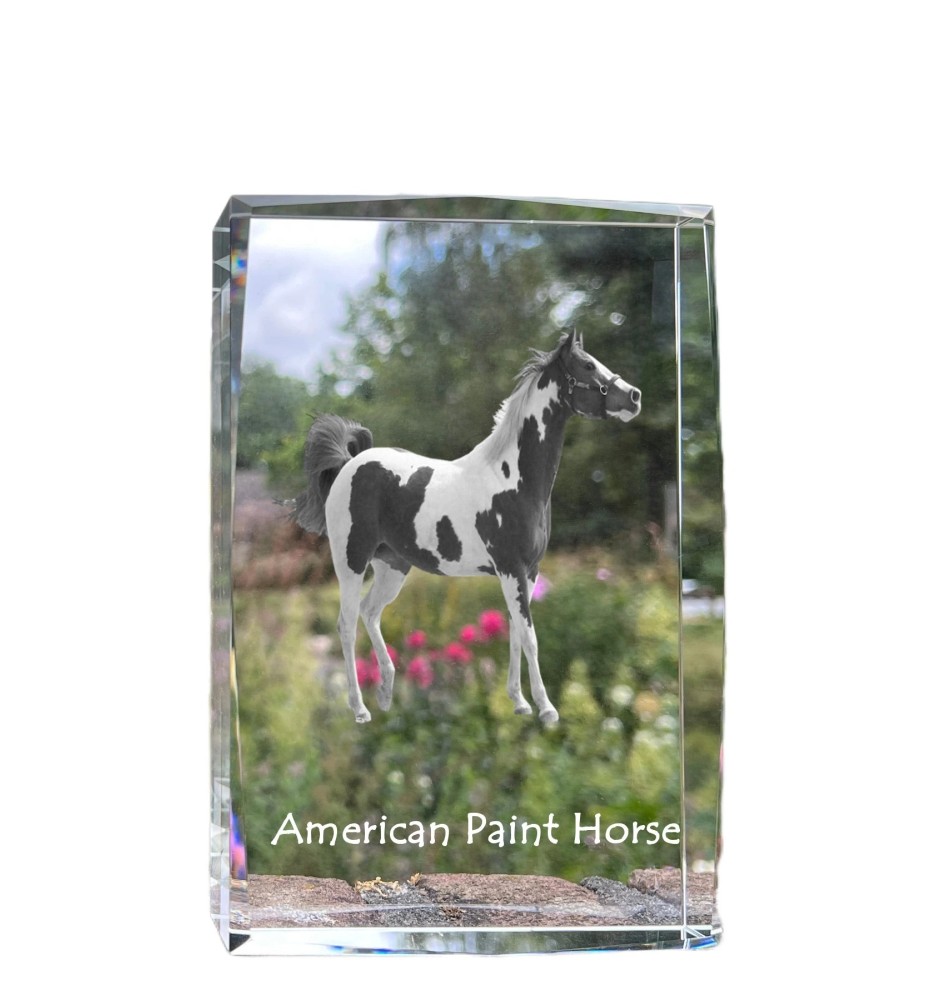 American Paint Horse - crystal with a picture of a horse, photo in glass, modern exhibition of Art-Dog brand photo
