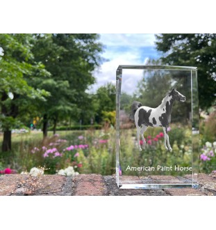 Paint Horse américain - cristal avec une photo de cheval, photo sous verre, exposition moderne de la marque de photos Art-Dog