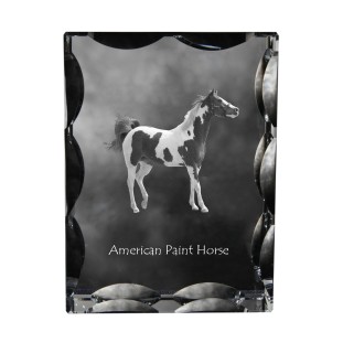 American Paint Horse - crystal with a picture of a horse, glass statuette with a picture, unique frame with a picture from Art-Dog brand