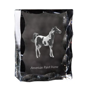 American Paint Horse - crystal with a picture of a horse, glass statuette with a picture, unique frame with a picture from Art-Dog brand