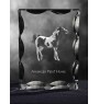 American Paint Horse - crystal with a picture of a horse, glass statuette with a picture, unique frame with a picture from Art-Dog brand