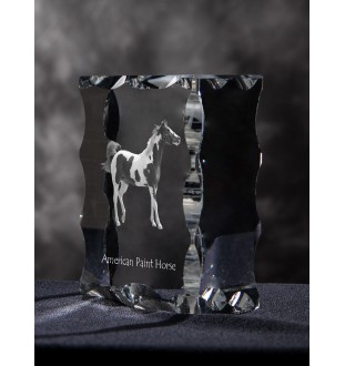 American Paint Horse - crystal with a picture of a horse, glass statuette with a picture, unique frame with a picture from Art-Dog brand