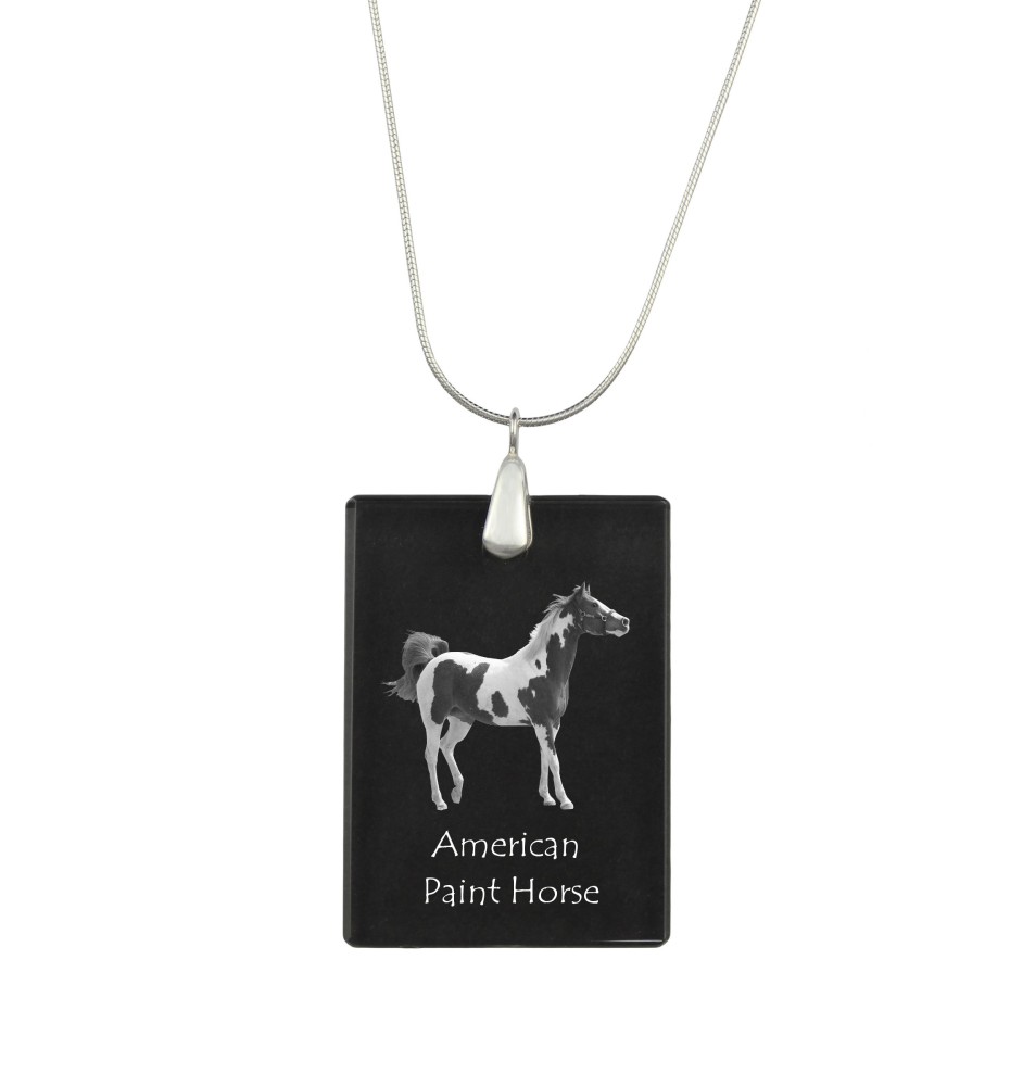 Paint Horse américain - Crystal pendant with horse, silver necklace with photo, personalised pendant by Art-Dog brand