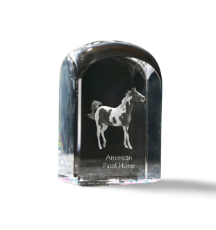 American Paint Horse - crystal cube with a photo, photo of a horse in crystal, cubic paperweight from Art-Dog brand