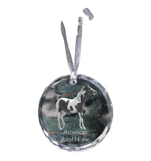 Paint Horse américain - boule de Noël en cristal avec une photo, photo de cheval dans le cristal, décoration personnalisée pour sapin de Noël de la marque Art-Dog