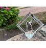 American Paint Horse - crystal cube with a horse picture, horse picture in crystal, cubic paperweight from Art-Dog brand
