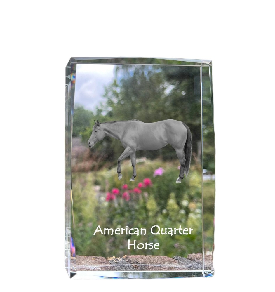 Amerikanisches Quarter Horse - Kristall mit einem Pferdebild, Bild im Glas, moderne Ausstellung des Art-Dog-Bildes.