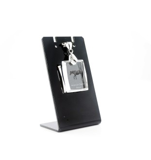 Amerikanisches Quarter Horse - Crystal pendant with horse, photo necklace, unique jewellery by Art-Dog