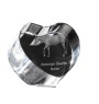 Quarter Horse américain - une photo de cheval dans un cristal, un cœur en cristal, un cadre exceptionnel avec une photo de la marque Art-Dog