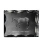 Amerikanisches Quarter Horse - crystal with a picture of a horse, glass statuette with a picture, unique frame with a picture from Art-Dog brand