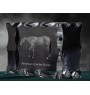 Amerikanisches Quarter Horse - crystal with a picture of a horse, glass statuette with a picture, unique frame with a picture from Art-Dog brand