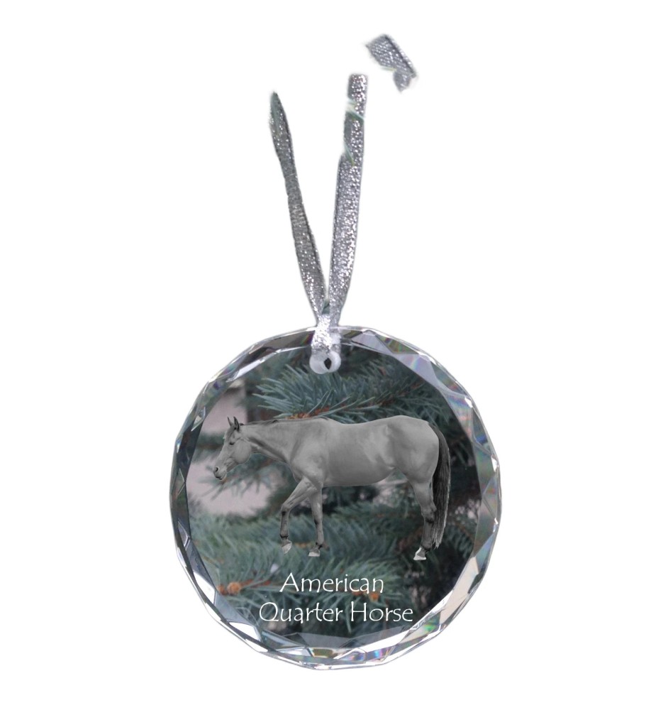 Amerikanisches Quarter Horse - Kristallkugel mit einem Foto, Pferdefoto im Kristall, personalisierter Weihnachtsbaumanhänger von der Marke Art-Dog